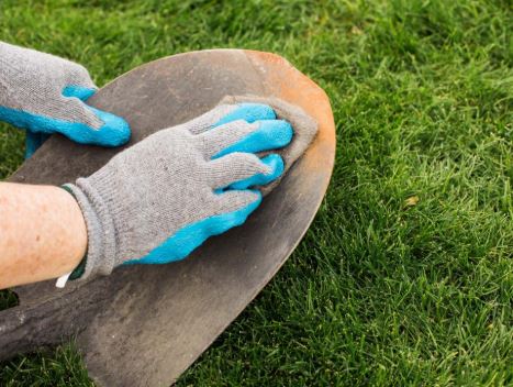 How to clean Garden tools